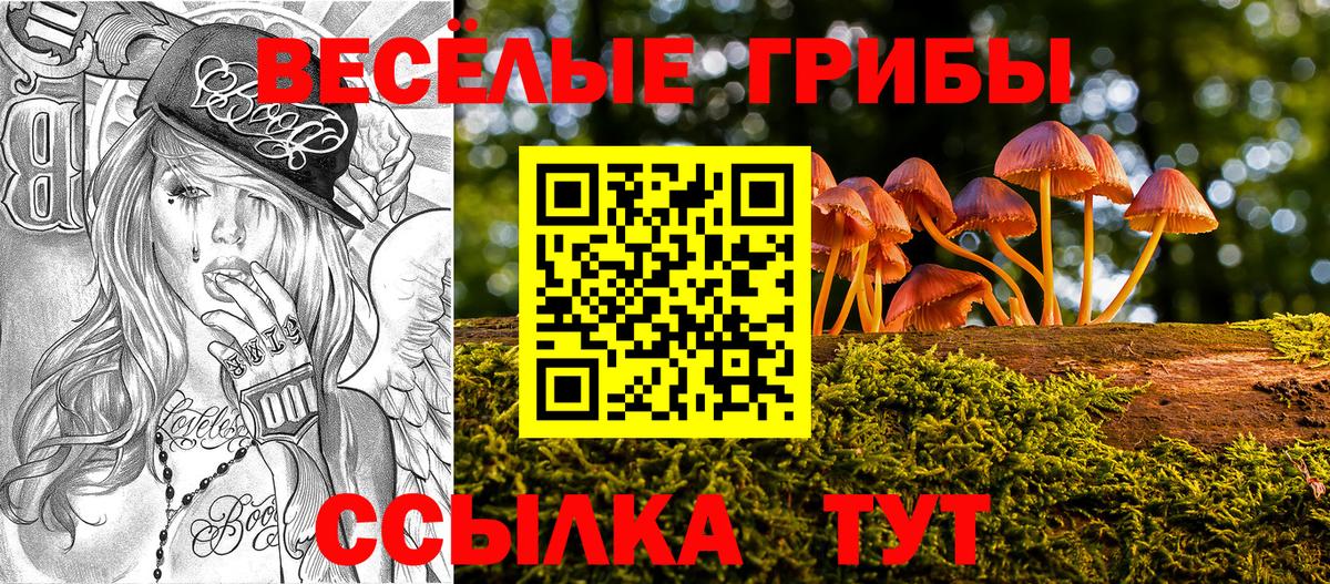 Галлюциногенные грибы Psilocybe  Галлюциногенные грибы MAGIC MUSHROOMS  Учалы  Вход с VPN 