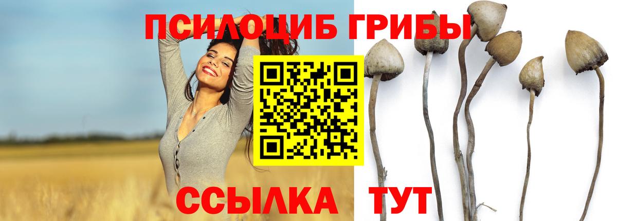 Галлюциногенные грибы MAGIC MUSHROOMS Учалы